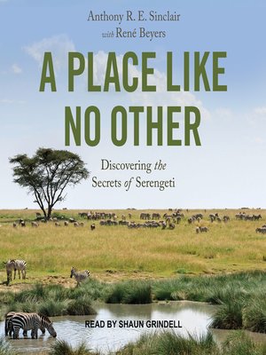 cover image of A Place Like No Other